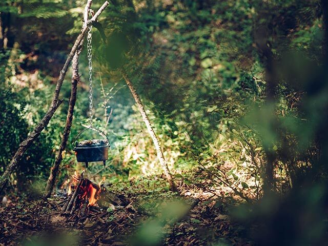How to Make Portable Soup (Survival Soup) Like the Robinson Family